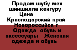Продам шубу мех шиншилла кенгуру › Цена ­ 55 000 - Краснодарский край, Новороссийск г. Одежда, обувь и аксессуары » Женская одежда и обувь   